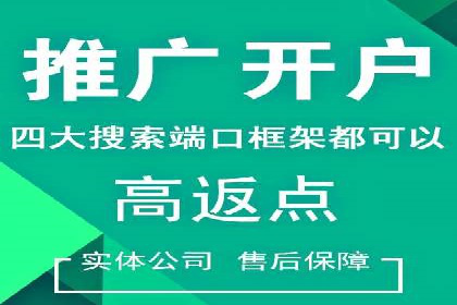 百度竞价排名之成功案例：看广告如何转化为销量